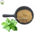 Manfaat Suplemen Diet Asam Rosmarinic Lemon Balm